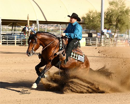 Scottsdale Arabian & Half Arabian Horse Show