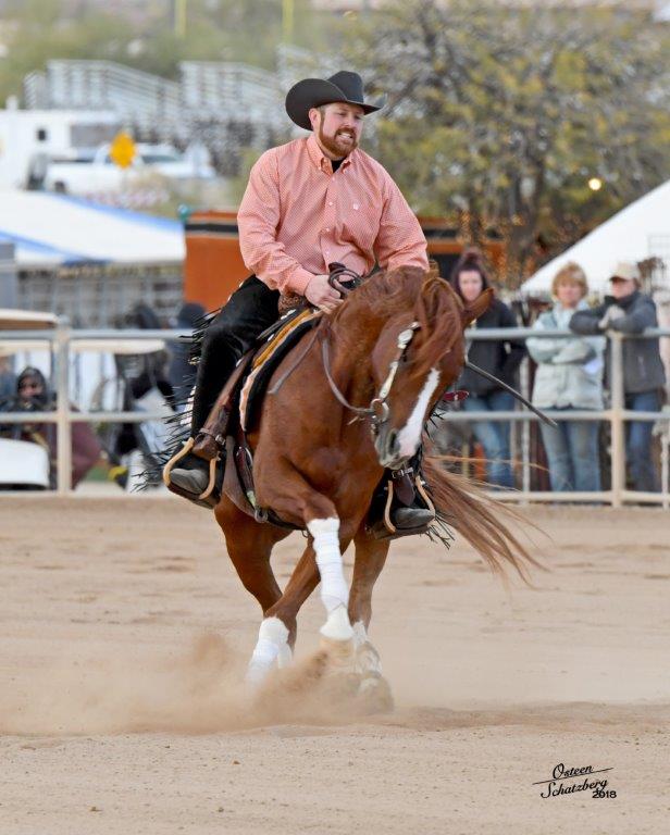 2018 Scottsdale Arabian Horse Show Results Nathan Kent Performance Horses
