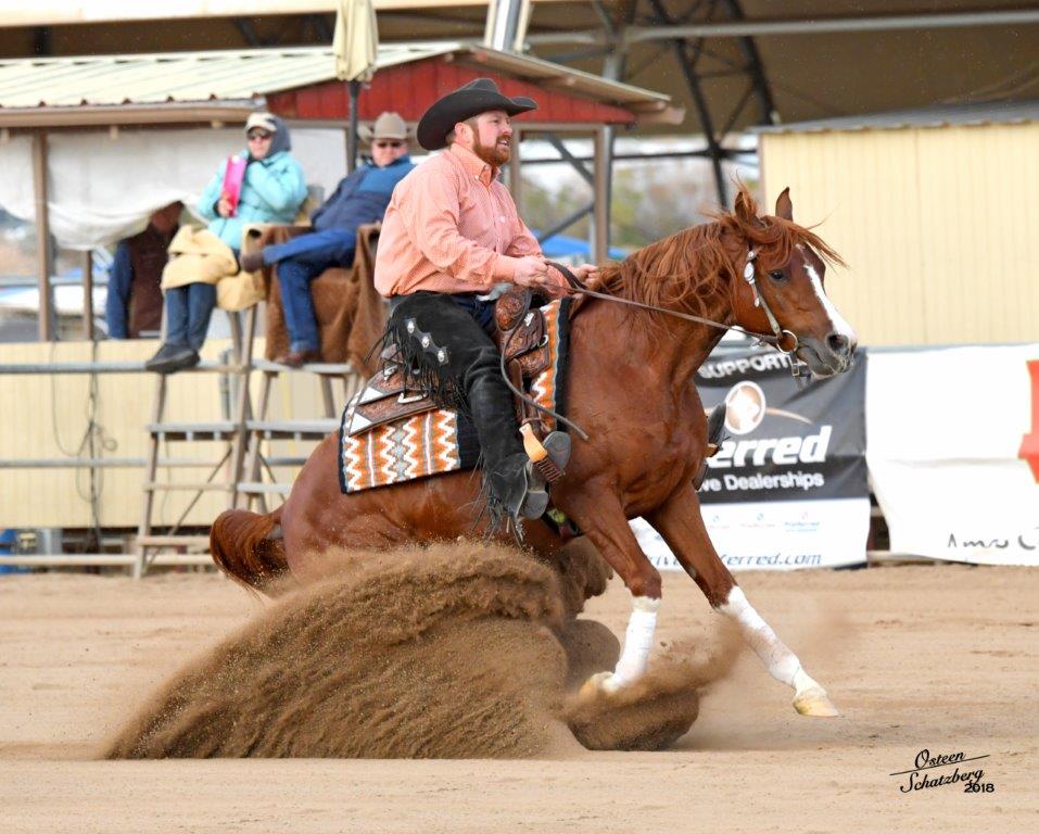 2018 Scottsdale Arabian Horse Show Results Nathan Kent Performance Horses